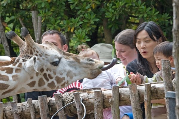 Families enjoying Woodland Park Zoo’s Labor Day festivities 2025